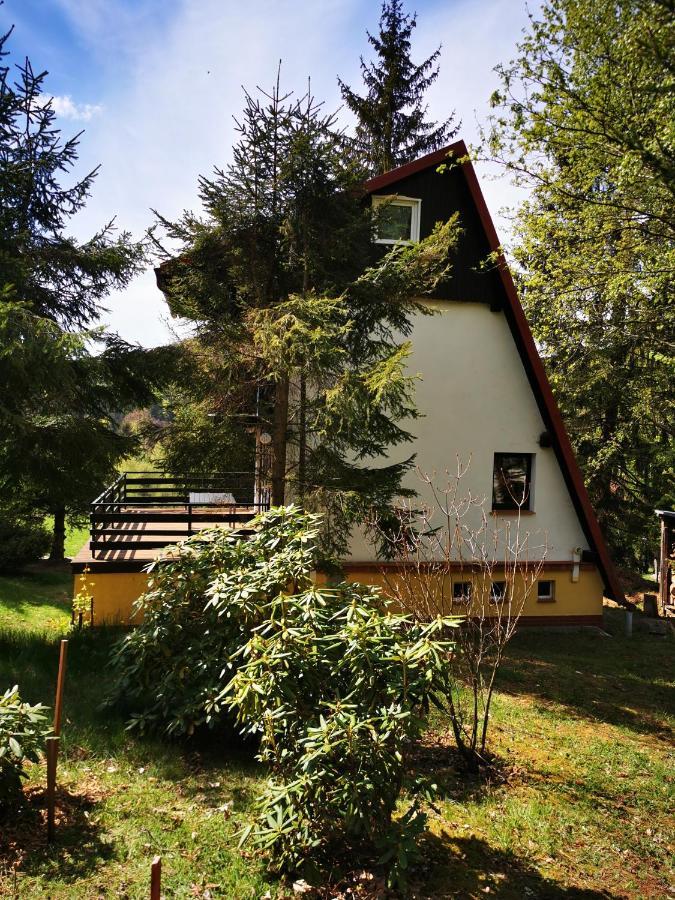 Wojtowka 16 Villa Lądek-Zdrój Екстериор снимка