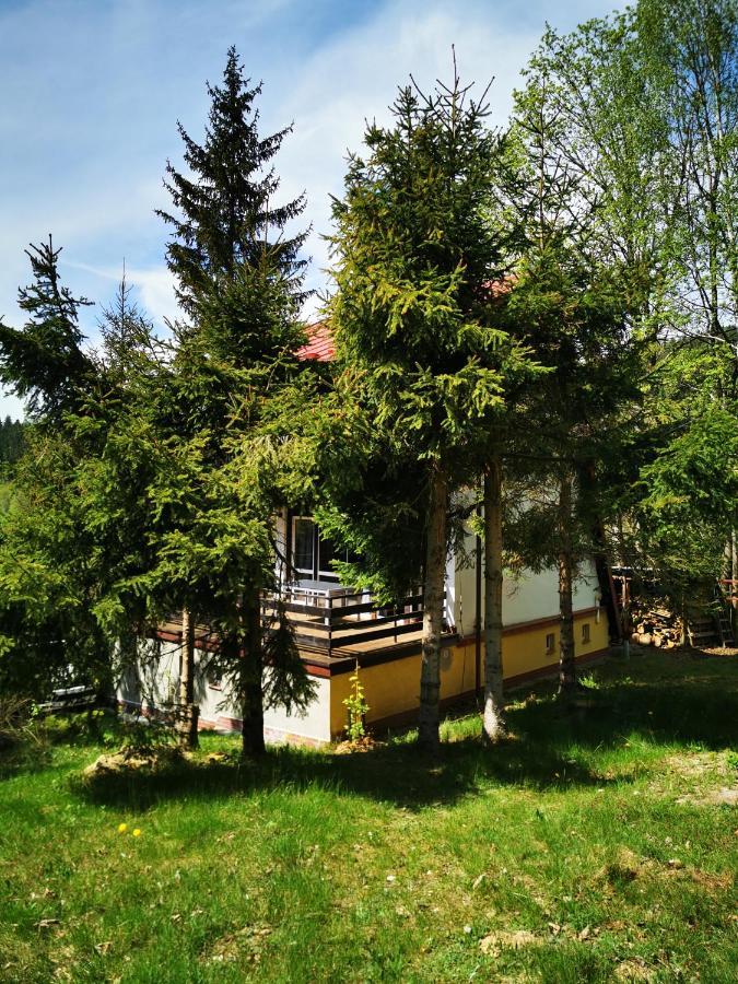 Wojtowka 16 Villa Lądek-Zdrój Екстериор снимка