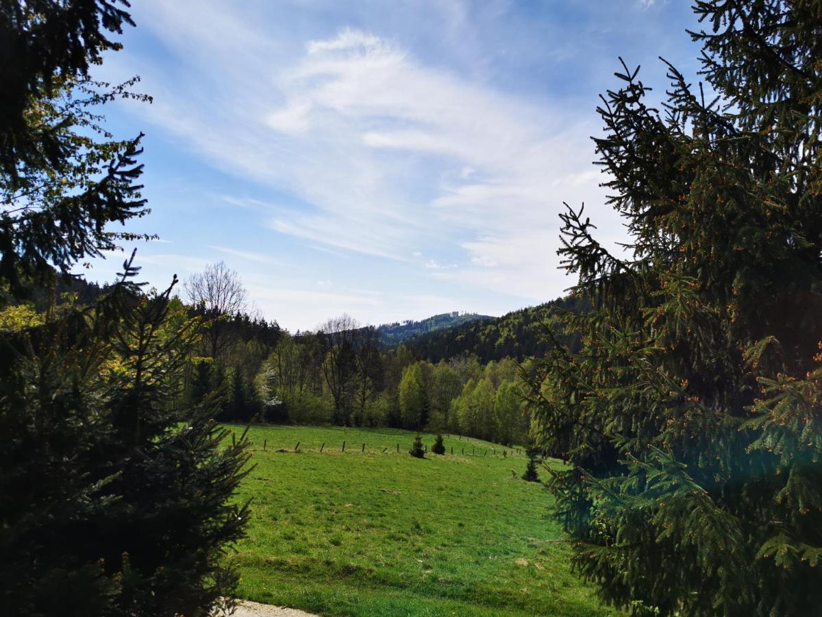Wojtowka 16 Villa Lądek-Zdrój Екстериор снимка