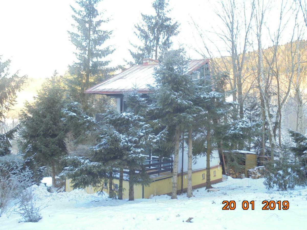 Wojtowka 16 Villa Lądek-Zdrój Екстериор снимка